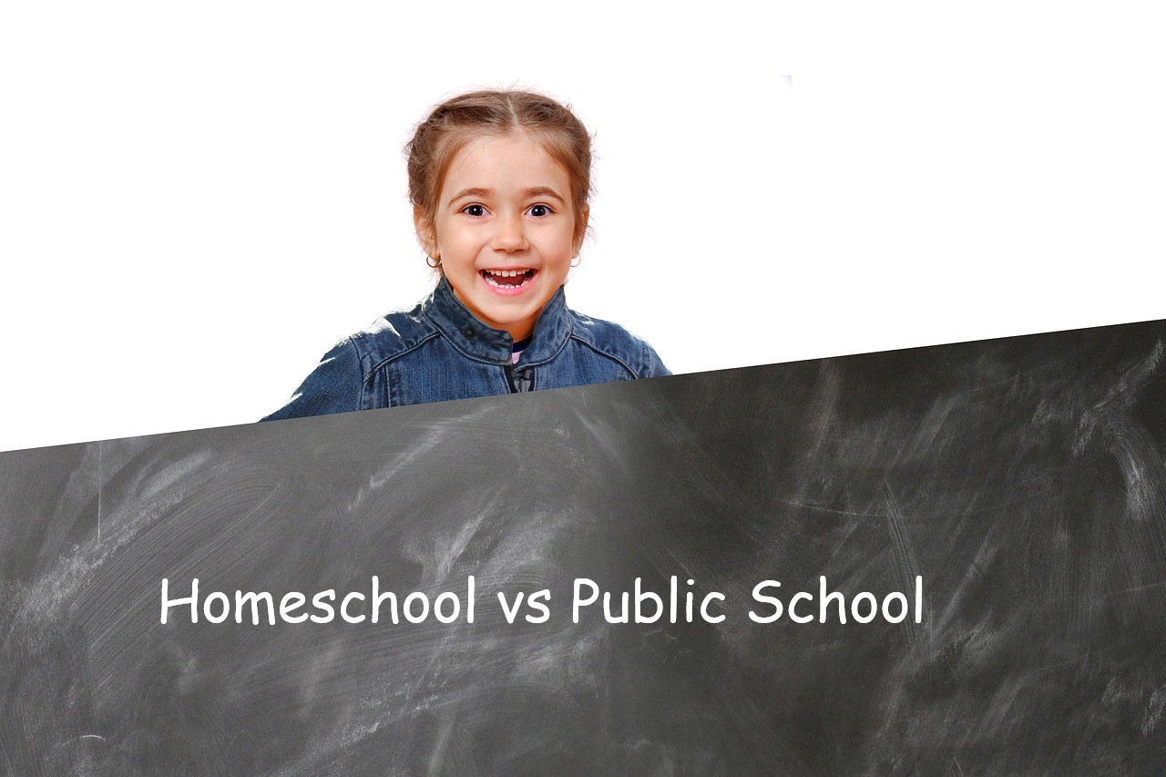 homeschool vs public school